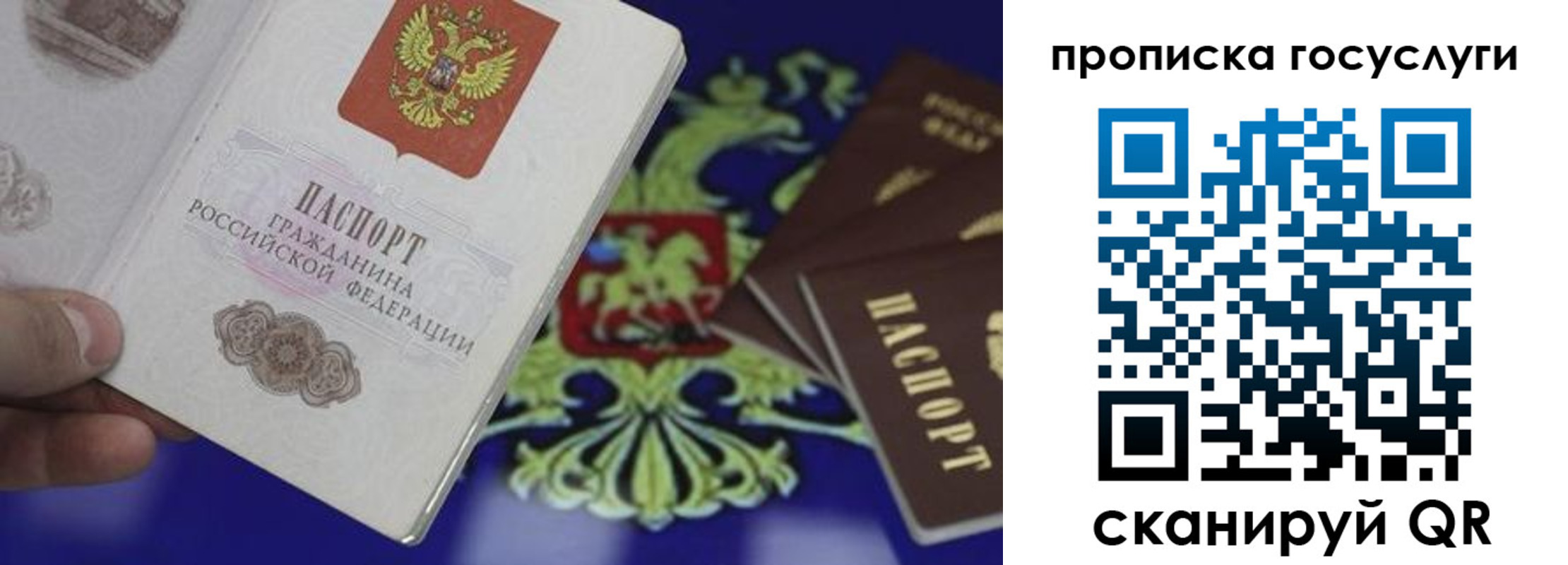 прописка для школы в Новокубанске